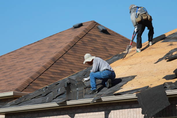 Best Roof Insulation Installation  in Fox Chase, PA